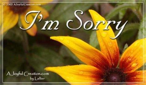 i m sorry ecard free a joyful creation greeting cards online