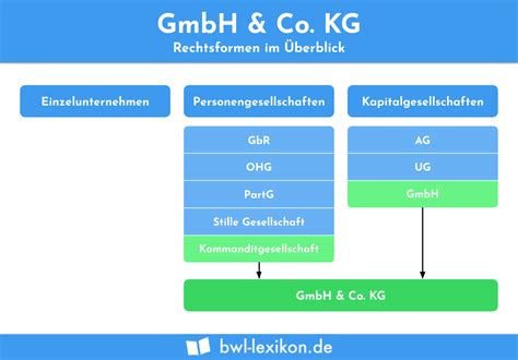 gmbh  kg definition erklaerung beispiele uebungsfragen