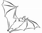 Bat Wings Drawing Getdrawings Coloring sketch template