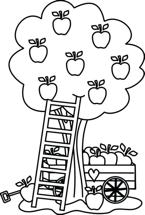 printable apple coloring pages  getcoloringscom