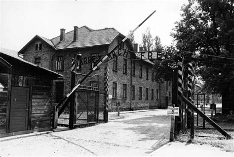 Walter P Reuther Library 10701 Entrance Gates Auschwitz Poland 1983
