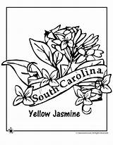 Coloring Carolina State Flower South Pages North Symbols Printable Connecticut Getcolorings Print Kids Color Getdrawings Template Popular sketch template