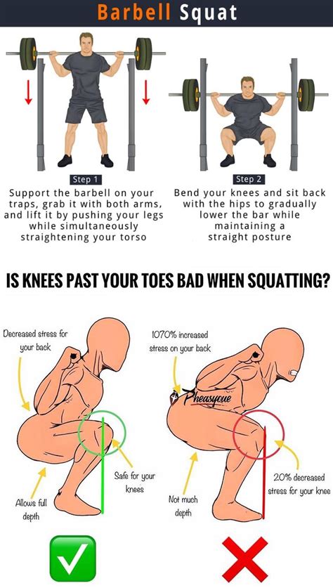 Barbell Squat How To Do Proper Form