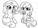 Pony Equestria sketch template