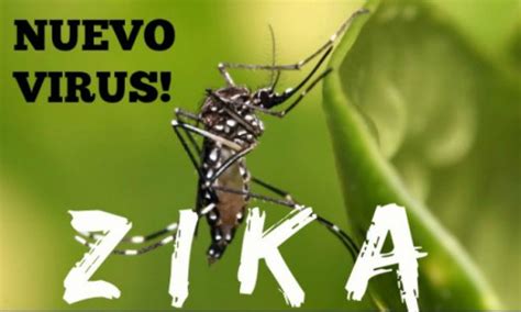 amigoe te weinig aandacht voor zika virus