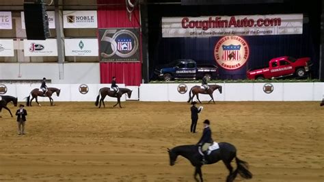 novice amateur select hunter under saddle finals did it in a minute youtube