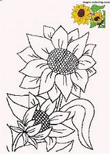 Sunflower Coloring Pages Sunflowers Flower Magic Patterns Flowers Painting Drawing Plants Printables Adults Pattern Colouring Embroidery Choose Board sketch template