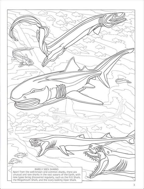 lets explore sharks sticker coloring book coloring books shark