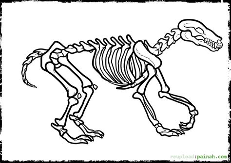 easy dinosaur bones coloring pages click  dinosaur bone coloring