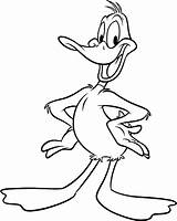 Duck Daffy Coloring Looney Pages Colouring Drawing Clipart Toons Characters Drawings Cartoon Color Duckling Sheet Tunes Print Kids Cartoons Hunting sketch template
