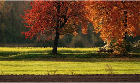 oktober foto bild jahreszeiten herbst farben bilder auf fotocommunity