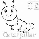 Caterpillar Coloring Preschool 99worksheets Worksheets sketch template