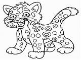 Coloring Pages Cheetah Kids Collection Coloringfolder Jaguar sketch template
