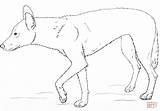 Dingo Coloring Pages Drawing Printable Realistic Getdrawings sketch template