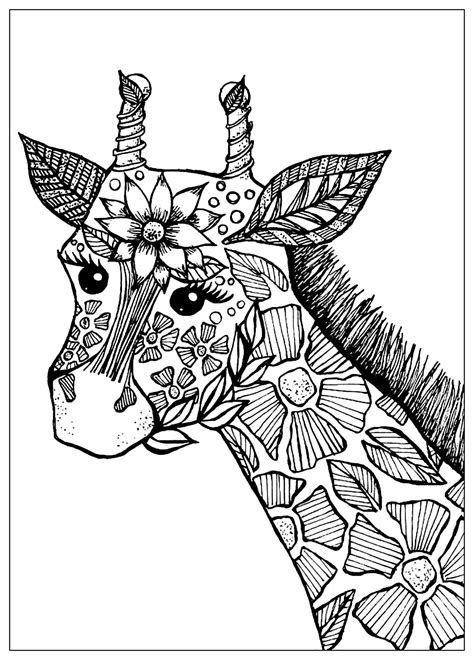giraffe head  flowers giraffes adult coloring pages