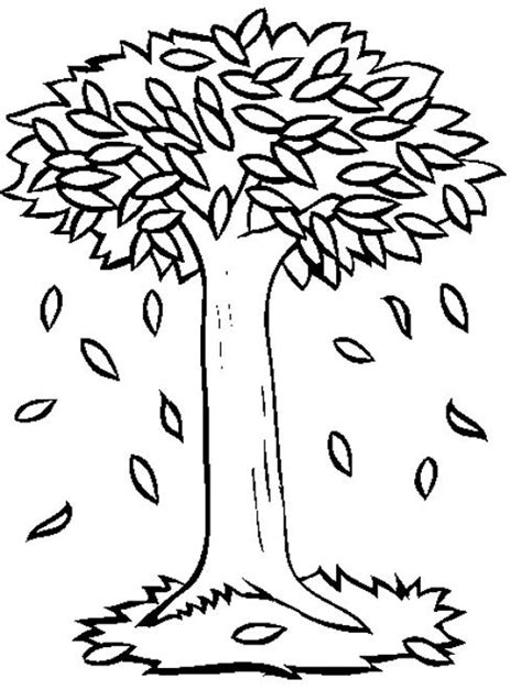 leaves fall tree coloring page tree pinterest fall trees  leaves