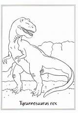 Colorare Tyrannosaurus Dinosauri Disegni Bambini Dinosaurs Tirannosauro Dinosauro sketch template