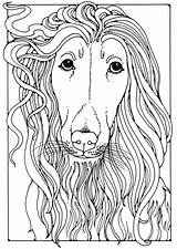 Afghan Coloring Greyhound Para Large Visitar Edupics sketch template
