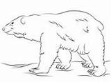 Mammals Tsgos Handphone sketch template