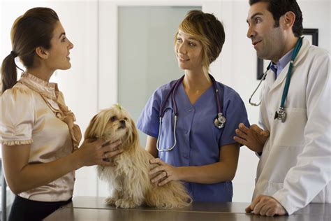 positive negative features    veterinarian career trend