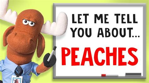4 things you didn t know about peaches explore awesome activities