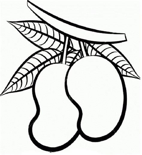 dwarf mango trees coloring page tree coloring page fruit coloring