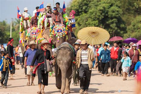 work live laosxayaboury celebrates elephant festival