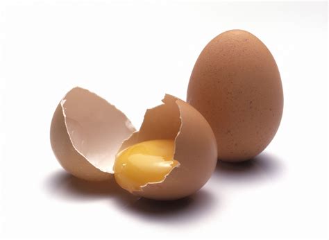 fit   long active life eggs   healthy   report  scrambles  controversy
