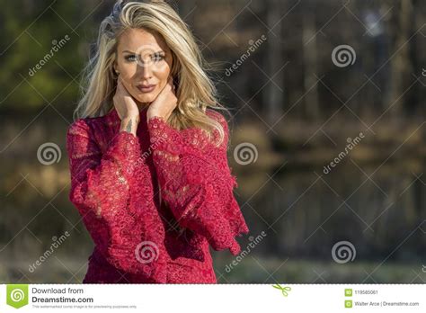 gorgeous blonde model posing outdoors stock image image of figure dress 119585061