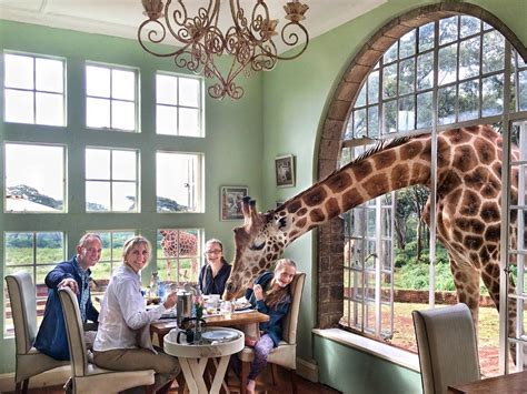 giraffe manor hotel  nairobi kenya africa  kids giraffe hotel