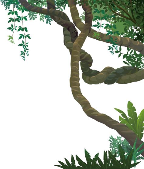 png jungle   cliparts  images  clipground