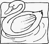 Coloring Pages Swan Emma Template sketch template