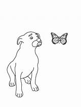 Pages Coloring Dog Animals Index Print sketch template