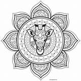 Mandala Pages Coloring Giraffe Color Kids Adults Print sketch template