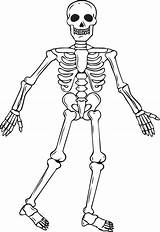 Skeleton Coloring Halloween Kids Printable Body sketch template