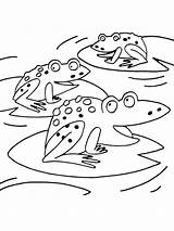 Kikkers Ranas Leukekleurplaten Kikker Kleurplaten Frogs Dibujosparaimprimir Kleur Coloringpage één Doolhof sketch template