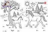 Schleich Pferdehof Pferde Ausmalen Interessen Spiel Spass Zuhause Fur Zeichnen sketch template