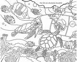 Freebie Colorit Coloring Adventure Friday Greatest Book Allow Haven Received Minutes Delivery Yet Oh Please Drawing Adult sketch template