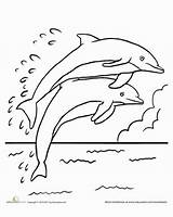 Dolphin Lumba Mewarnai Dolphins Malvorlagen Leaping Dibujo Worksheet Delfin Kidsworksheetfun Crayon Ikan sketch template