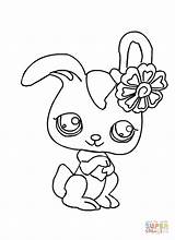 Coloring Pet Shop Pages Littlest Rabbit Fun Kids sketch template