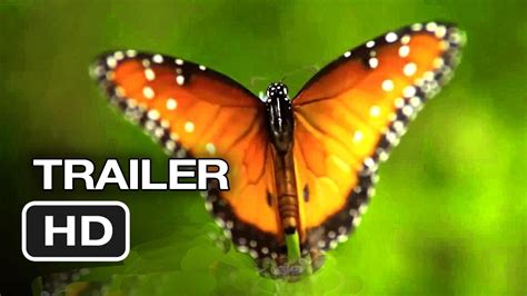 disneynature wings  life official  dvd release