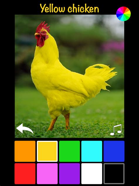 app shopper color zoo learn colors education