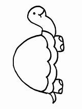 Kura Mewarnai Schildpadden Dieren Tartaruga Tartarughe Disegni Tortugas Animals Penyu Tortuga Colorare Animasi Tortoise Coloriages Bergerak Tortue Animaatjes Coloringpages1001 Reptile sketch template