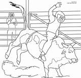 Bull Coloring Pages Riding Bucking Printable Drawing Kids Print Color Cowboy Rodeo Bulls Ferdinand Miniature Jewelry Mower Book Books Getdrawings sketch template