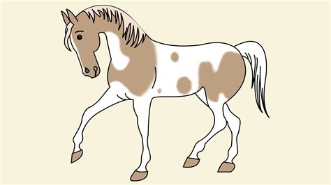 draw  simple horse  steps  pictures wikihow
