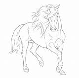 Paard Paarden Friesian Fries Rearing Friese Kleurplaten Arabian Pferde Horses Lineart Coloringhome Uitprinten Malen Bleistift Decorated Downloaden Teke Akhal Gaited sketch template