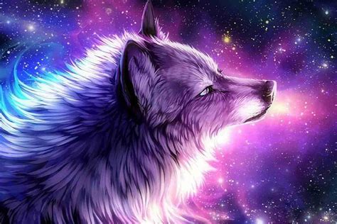 galaxy wolf wallpaper enjpg