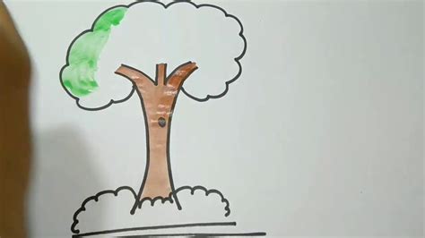 tree drawing  color easy      main branches