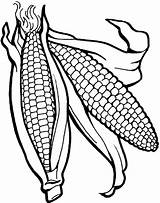 Corn Coloring Stalk Clipart Pages Clipartmag sketch template