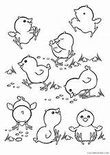Baby Coloring4free Chick 2021 Coloring Animal Printable Pages Sheets Chicks sketch template